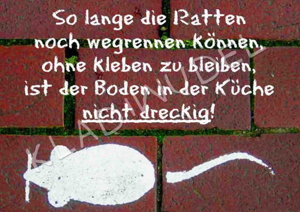 Postkarte - Solange die Ratten noch wegrennen können ....